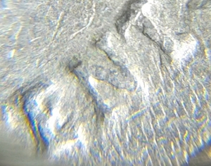 1984-P-Jefferson-Nickel-Reverse-Doubled-Die?